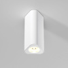 Потолочный светильник Elektrostandard Trio 25110/LED 4690389205842 a067063 — купить в Bronko‑Decor