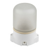 Потолочный светильник Uniel UWL-K01R 60W/E27 IP65 WHITE UL-00011471 — купить в Bronko‑Decor