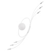 Бра Lightstar Ovale 784666 — купить в Bronko‑Decor