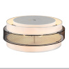 Потолочный светильник Lumion Animaisa 8002/6C — купить в Bronko‑Decor