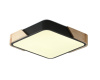 Потолочный светильник Zortes Alberro ZRS.01281.60 — купить в Bronko‑Decor