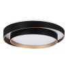 Потолочный светильник Evoluce Crosby SLE6009-402-01 — купить в Bronko‑Decor