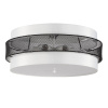Потолочный светильник Lumion Animaisa 8002/6C — купить в Bronko‑Decor