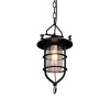 Подвесной светильник LOFT IT Warehouse Loft1141 — купить в Bronko‑Decor