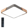 Потолочный светильник Natali Kovaltseva Scandinavian LED LAMPS 81412 — купить в Bronko‑Decor