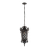 Уличный подвесной светильник Loft IT Tremezzo 100019P BS — купить в Bronko‑Decor