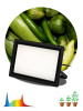 Фитопрожектор Эра FITO-200W-Ra90-LED Б0059879 — купить в Bronko‑Decor