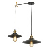 Подвесной светильник Lussole LOFT New York LSP-9601-2L — купить в Bronko‑Decor