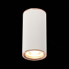 Потолочный светильник ST Luce Chomus ST111.527.01 — купить в Bronko‑Decor