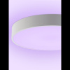 Потолочный светильник Natali Kovaltseva Modern LED LAMPS 81105/2C — купить в Bronko‑Decor
