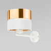 Бра TK Lighting Hilton 4770 Hilton Gold a062971 — купить в Bronko‑Decor