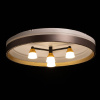 Потолочный светильник De Markt Норден 660014701 — купить в Bronko‑Decor