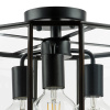 Потолочная люстра Lightstar Genni 798237 — купить в Bronko‑Decor