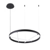Подвесная люстра Arte Lamp Ricco A1874SP-32BK — купить в Bronko‑Decor
