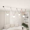 Комплект ременной трековой системы Denkirs Belty Set DK55SET20-01-BR — купить в Bronko‑Decor