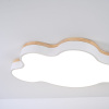 Потолочная люстра ImperiumLoft Cloud Eco 189502-26 — купить в Bronko‑Decor