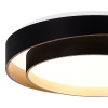 Потолочный светильник Evoluce Crosby SLE6009-402-01 — купить в Bronko‑Decor