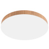 Потолочный светильник Feron AL1600 51110 — купить в Bronko‑Decor