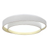 Потолочный светильник Evoluce Crosby SLE6009-502-01 — купить в Bronko‑Decor