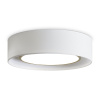 Потолочный светильник Freya Cozy FR6170CL-L52BS — купить в Bronko‑Decor