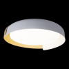 Потолочный светильник Loft IT Coin 10198 White — купить в Bronko‑Decor