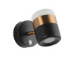 Спот Zortes Fiero ZRS.27809.8 — купить в Bronko‑Decor
