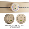 Трековая розетка Arte Milano Am-track-sockets-39 399731TS/USB-Type-C Gold — купить в Bronko‑Decor