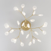 Потолочная люстра Bogates Foglia 343 Smart (542) — купить в Bronko‑Decor