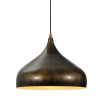 Подвесной светильник Lussole Loft LSP-9655 — купить в Bronko‑Decor