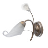 Бра MW-Light Восторг 19 242026601 — купить в Bronko‑Decor