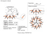 Потолочная люстра Crystal Lux STEFANIA PL9 — купить в Bronko‑Decor