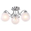 Накладная люстра Lussole Lgo Iliamna GRLSP-8139 — купить в Bronko‑Decor