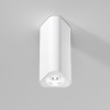 Потолочный светильник Elektrostandard Trio 25110/LED 4690389205859 a067062 — купить в Bronko‑Decor