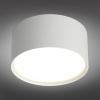 Потолочный светодиодный светильник Omnilux Salentino OML-100909-12 — купить в Bronko‑Decor