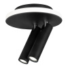 Спот Escada 20019SMA/02LED SBK — купить в Bronko‑Decor