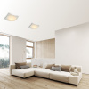 Настенно-потолочный светильник Apeyron 16-185 — купить в Bronko‑Decor