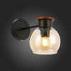 Настенный светильник EVOLUCE RASCO SLE108101-01 — купить в Bronko‑Decor
