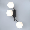 Настенно-потолочный светильник Citilux Dorsy CL223132 — купить в Bronko‑Decor