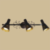 Спот Citilux Дункан CL529531 — купить в Bronko‑Decor