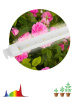 Линейный светильник Эра FITO-10W-Т5-Ra90-Slim Б0057400 — купить в Bronko‑Decor