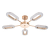 Потолочная люстра Arte Lamp Ovale A2489PL-5GO — купить в Bronko‑Decor