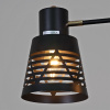 Потолочная люстра Reluce 06074-3.3-04 BK+FG — купить в Bronko‑Decor