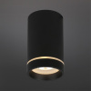 Потолочный светильник Aployt Edda APL.0053.19.10 — купить в Bronko‑Decor