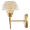 Бра MyFar Silvia MR1301-1W — купить в Bronko‑Decor