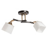 Потолочный светильник De Markt Тетро 673018202 — купить в Bronko‑Decor