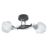 Потолочный светильник Toplight Lia TL7380X-02BC — купить в Bronko‑Decor