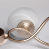 Потолочная люстра MW-Light Оливия 306012709 — купить в Bronko‑Decor