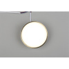 Потолочный светильник Aployt Evon APL.0114.29.12 — купить в Bronko‑Decor