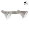 Спот Arte Lamp Cono A5218AP-2WG — купить в Bronko‑Decor