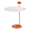 Торшер Lussole Boise LSP-0916 — купить в Bronko‑Decor